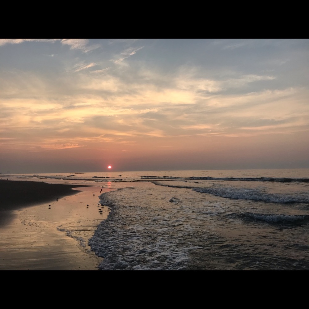 Meet your Posher, Lynne